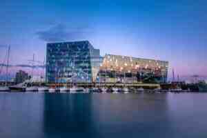 Harpa Blue Hour